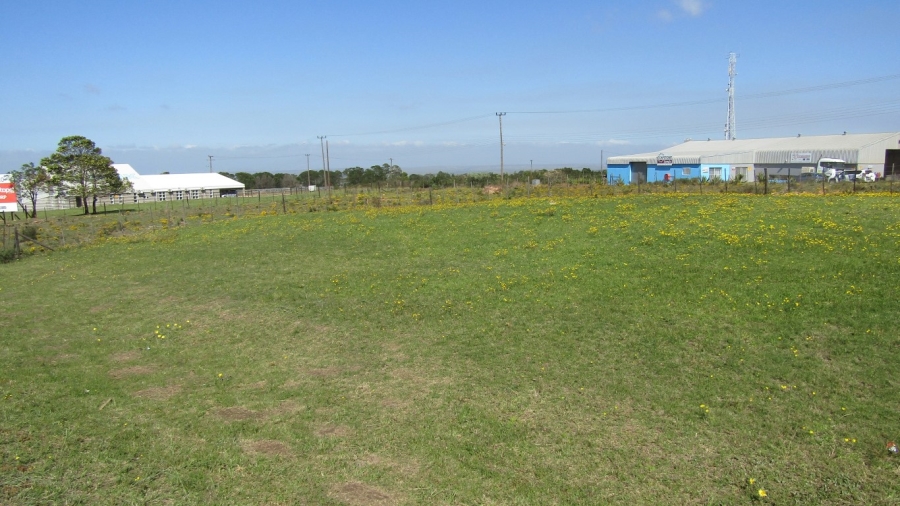 0 Bedroom Property for Sale in Humansdorp Eastern Cape